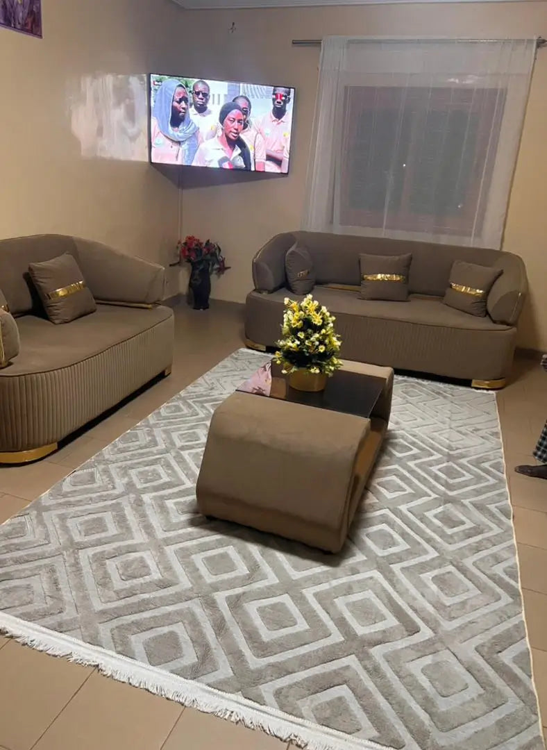 Moquette Premium 3m x 2m – Transformez votre Salon