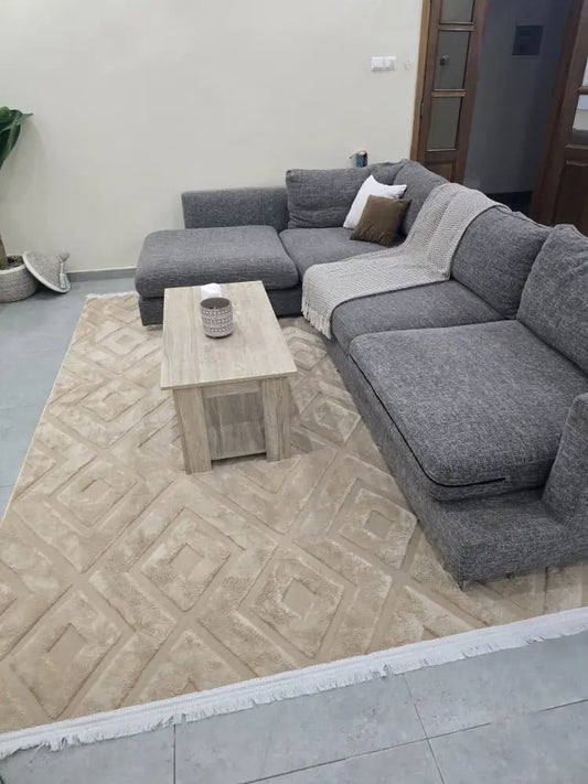 Moquette Premium 3m x 2m – Collection Salon Élégance (18 Modèles)